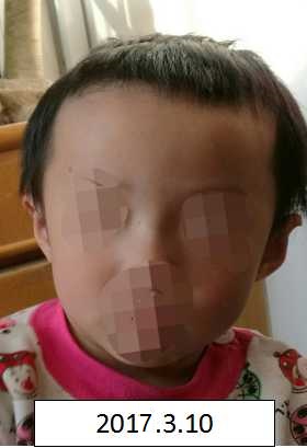 大鸡巴操骚逼免费视频